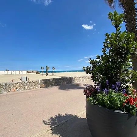 Maison Et Climatises Proche A - Fr-1-696-81 Hébergement de vacances Canet-en-Roussillon